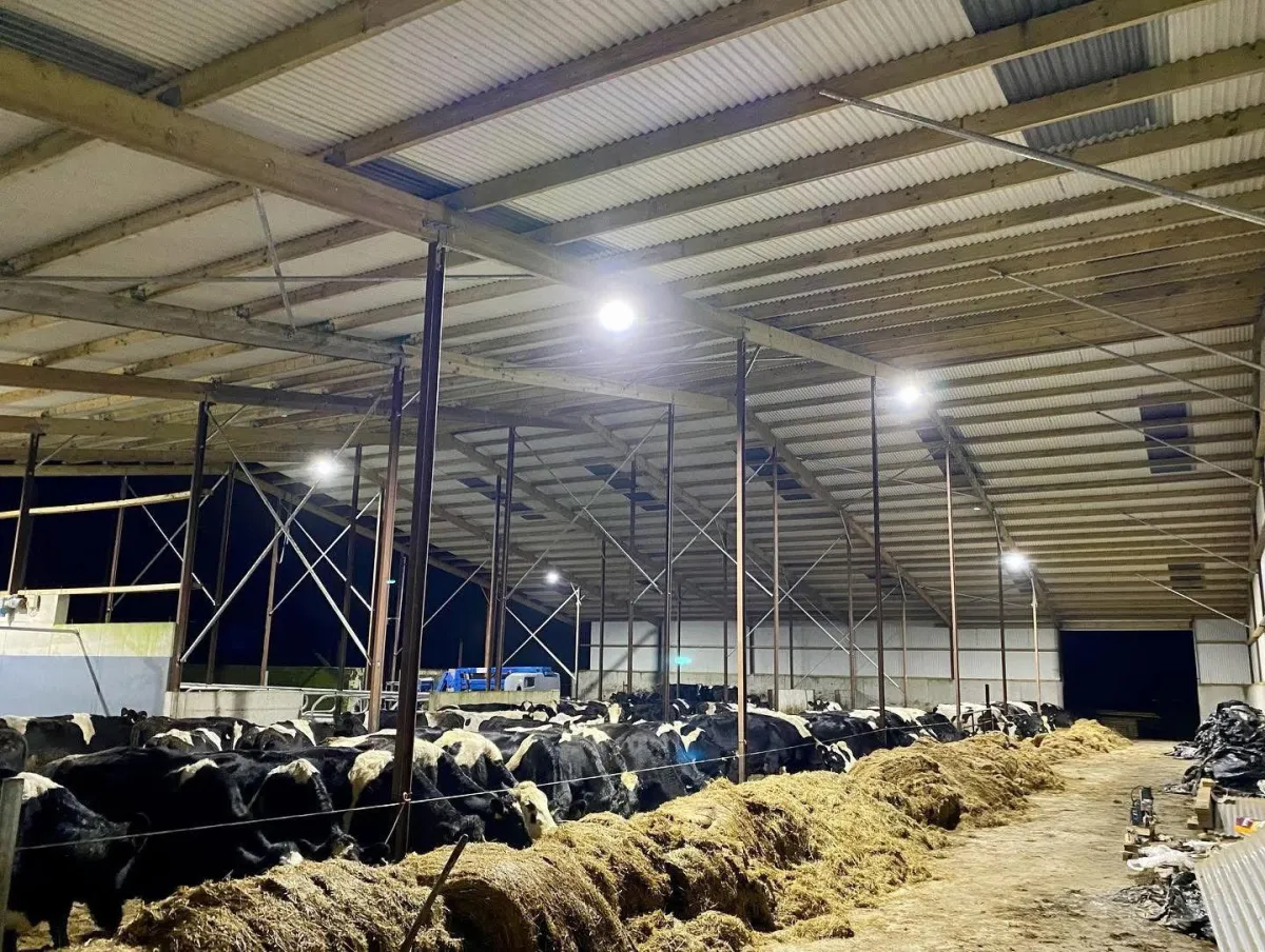 Agricultural electrical work by Henry Deane Electrical