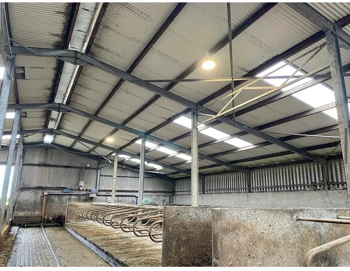 LED high-bay lighting in a cubicle shed by Henry Deane Electrical