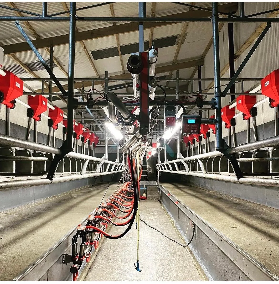 Milking parlour electrical installation by Henry Deane Electrical